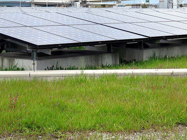 浮島太陽光発電所太陽電池パネルの土台