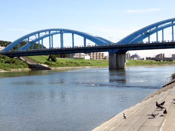 丸子橋左岸
